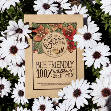 Wild Flower Seeds by The London Bee Company - Loving Small Business